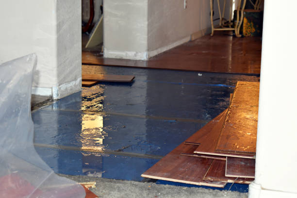 Professional Water Extraction technician working in Manitou Beach, MI